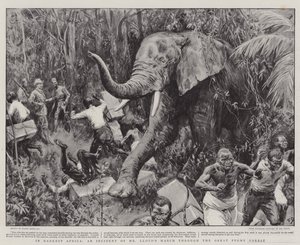 En la África más oscura, un incidente de la marcha del Sr. Lloyd a través del Gran Bosque Pigmeo
